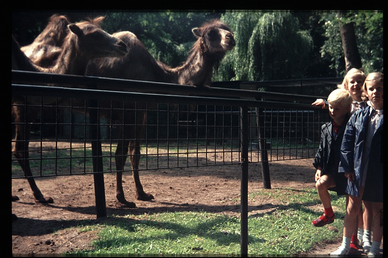 01.Wassenaar jun 1970 Brigitte,Marion,Peter.JPG